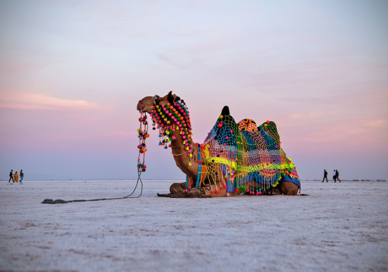 Rann of Kutch - 3N/4D