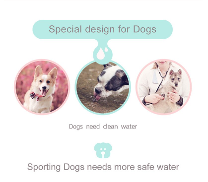 Portable Leakproof Pet Travel Water Bottle